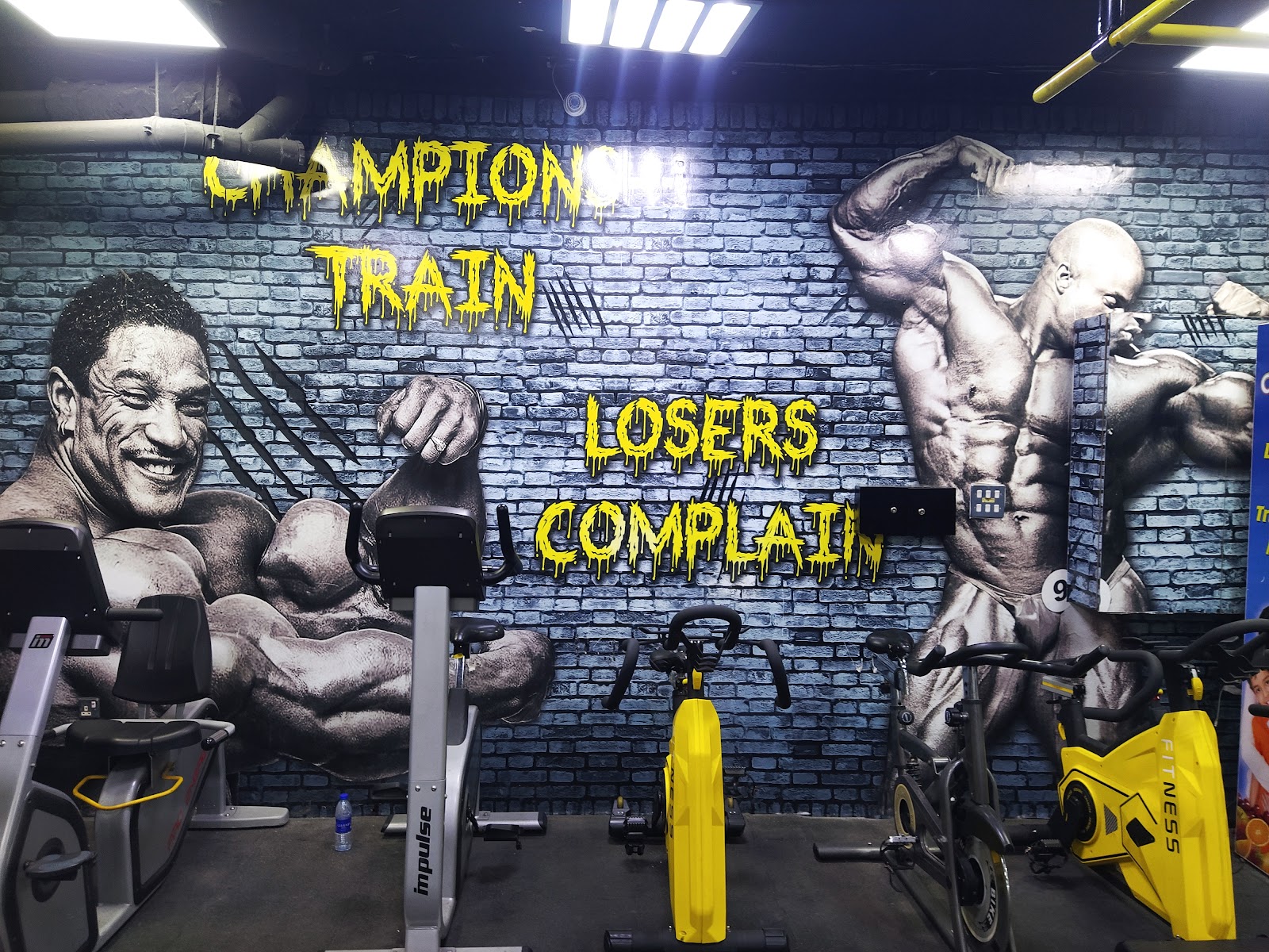 Tiger Gym